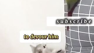 Funny Discussion 2