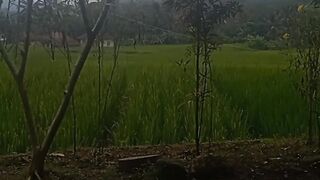 KATA KATA MOTIVASI DI HARI KAMIS