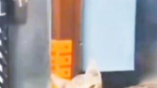 না দেখলে এমবি ফেরত