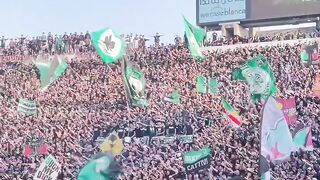 Football 241