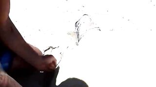 Sea Turtle Stuck On Remote Beach