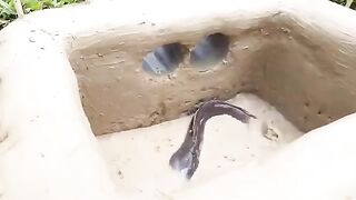 Smart Fish Trapping
