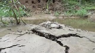 Black Catfish Catching