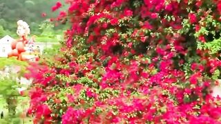 nice romantic???????????? video