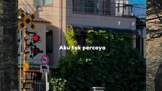 Sepasang marmut - orchidaria