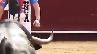 Wow Wow 2