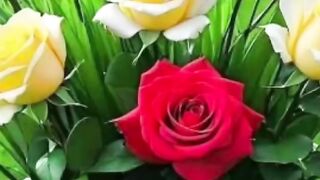 Following this link