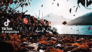 Beautiful ❤️ song amazing