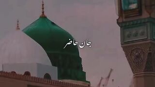 Jan hazir hai mustafa ky liay..