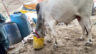 Alhamdulillah Pehla soda ho gaya