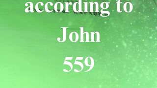 The Gospel according to John 559