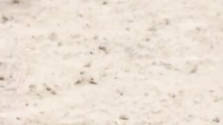 Earning video update