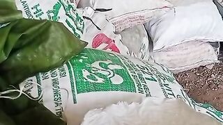 Crop yield