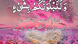 Islamic video 262