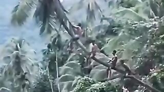 Ngakak, kebayang tidak kalau lucunya seperti ini.
