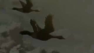 Attack on titan season 1 episode 1 in hindi