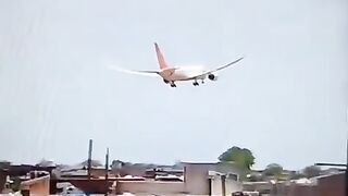 Plane cress gujrat