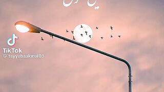 #samar jafry song#fyp
