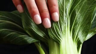 pasta recipes, vegan meals, keto recipes, gluten-free cooking, dessert ideas, 4