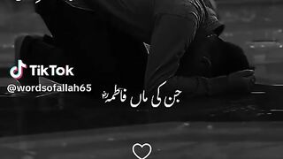 TikTok Status Video