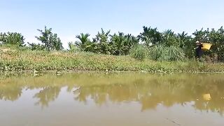 Big Snake in Lake