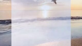 Awalnya udah mikir “Wah pesawat beneran nih!” ✈️????