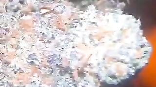 T*e*l*e*gram @Pluto_pluge Buy cannabis ☘️ hash ❄️ MDNA in Greece