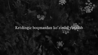 Ketdingiz boqmasdan