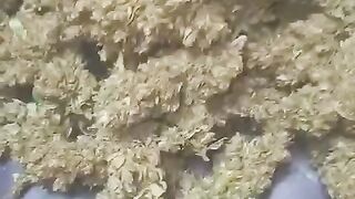 Telegram @Pluto_pluge Buy Cannabis Hash MDMA/Molly in Koeln