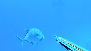 Hunt The Ocean's Strongest Fish