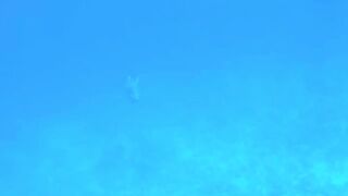 Best Spearfishing Shot