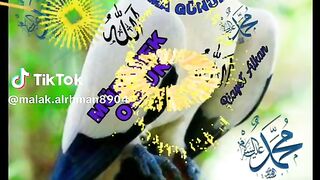 Islamic video 276