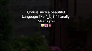 Urdu is such a beautiful language