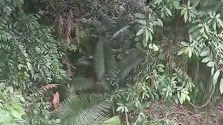 Death Accident