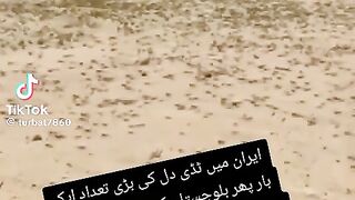 Very nice  video