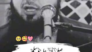 Ajmal raza qadri 14