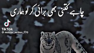 ???????????????????? 170