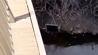#funnyreels 12