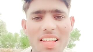 Mera Dil bhi tumse pagal 2
