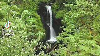 Nice video 297