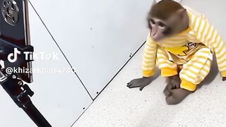 ???????????????????????? 114