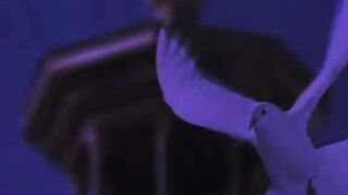 ???????????????????????? 116