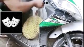 Durian nya Pecah