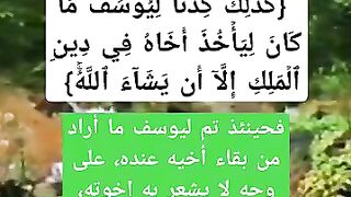 اذا اراد الله لاولائه خيرا فلا راد لقضائه بين ذلك من خلال الايه
