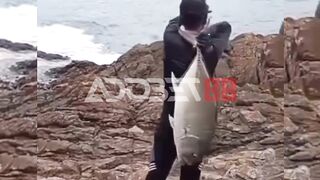 Pede Banget Pamer Ikan... Gak Sadar Ada Monster di Punggungnya!