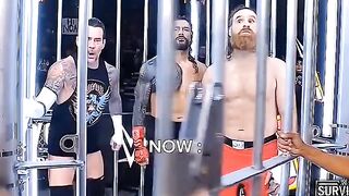 Roman Reigns And Sami Zayn .2025