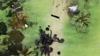monkey king ez rampage !! #monkeyking #dota2 #isl #dota2indonesia #dota2funny