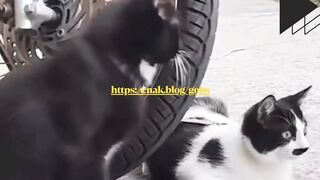 ???? "Eh, lo denger nggak sih? Si Mbak sebelah ribut lagi tuh!"