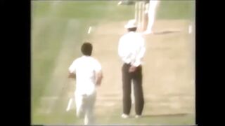 Cricket match 12