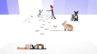 Babies and Animals Become